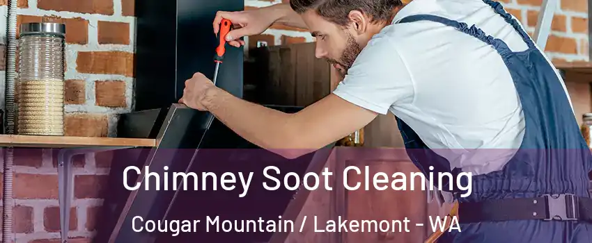 Chimney Soot Cleaning Cougar Mountain / Lakemont - WA