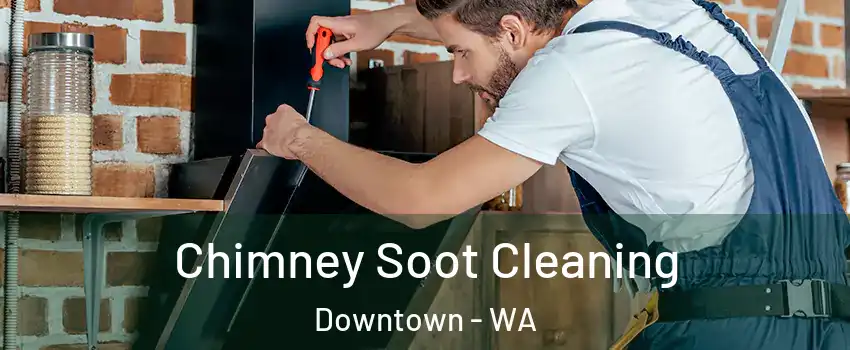 Chimney Soot Cleaning Downtown - WA