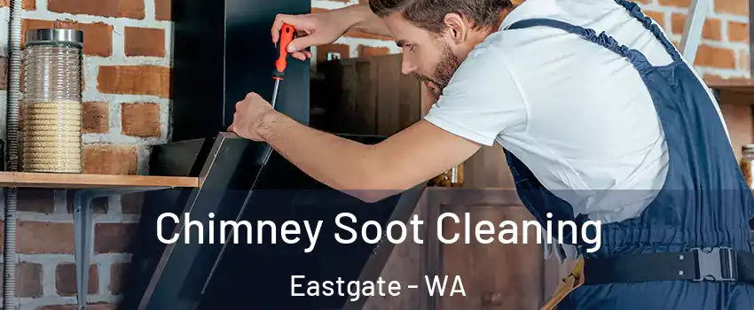 Chimney Soot Cleaning Eastgate - WA