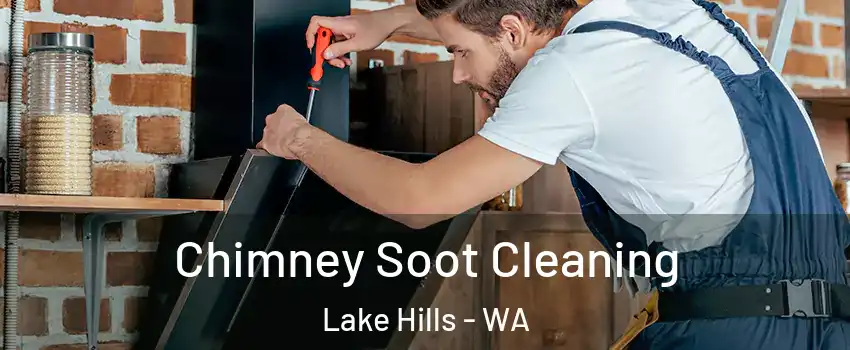 Chimney Soot Cleaning Lake Hills - WA