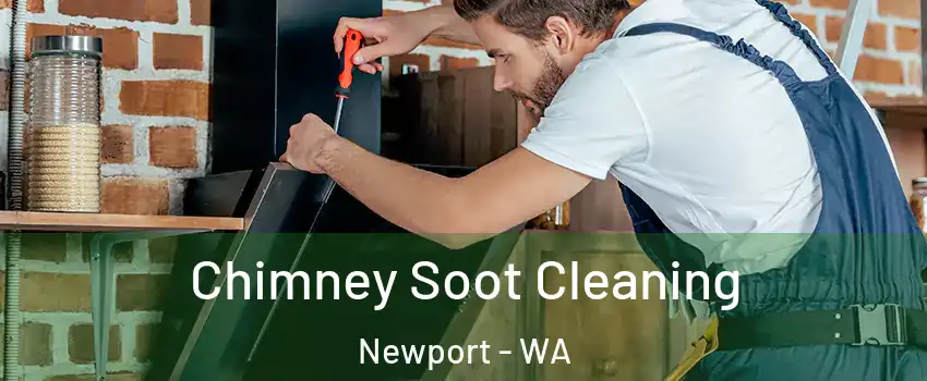 Chimney Soot Cleaning Newport - WA