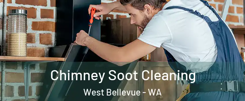 Chimney Soot Cleaning West Bellevue - WA