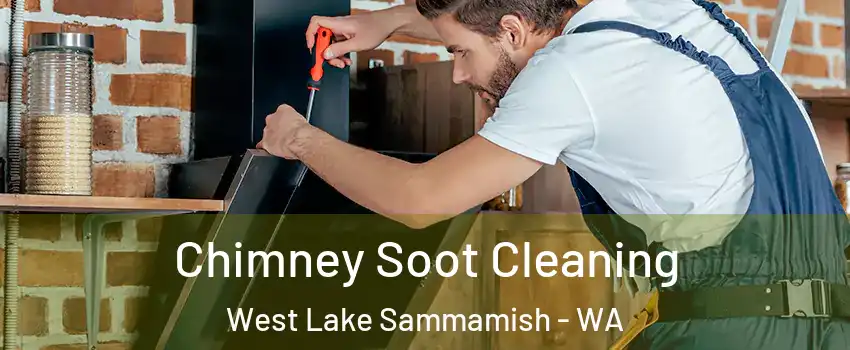 Chimney Soot Cleaning West Lake Sammamish - WA