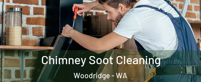 Chimney Soot Cleaning Woodridge - WA