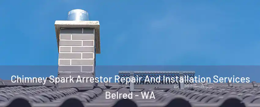 Chimney Spark Arrestor Repair And Installation Services Belred - WA