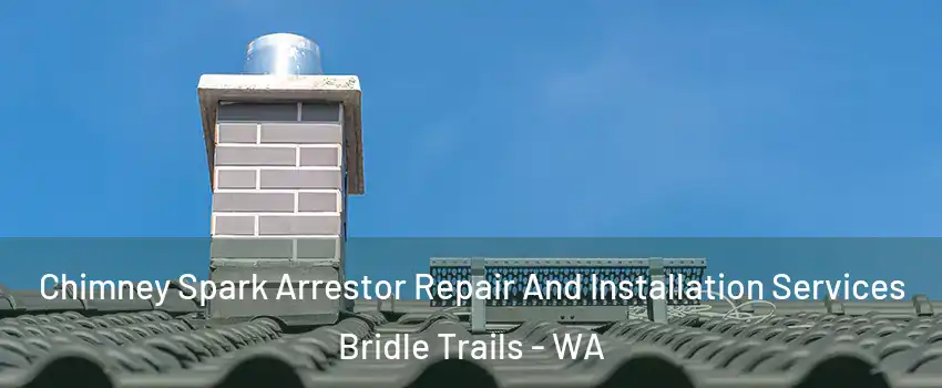 Chimney Spark Arrestor Repair And Installation Services Bridle Trails - WA