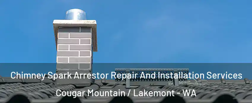 Chimney Spark Arrestor Repair And Installation Services Cougar Mountain / Lakemont - WA