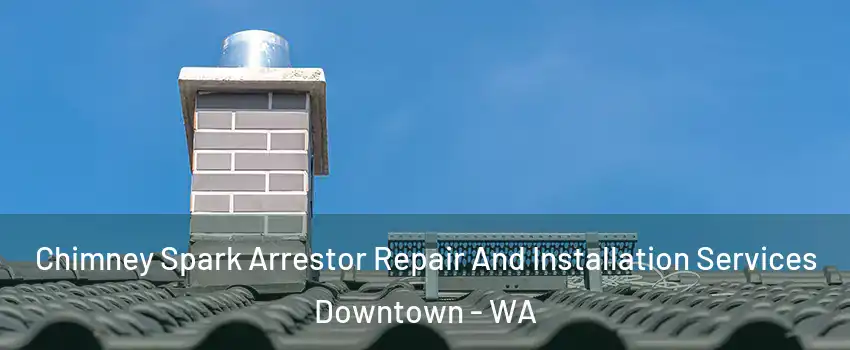 Chimney Spark Arrestor Repair And Installation Services Downtown - WA