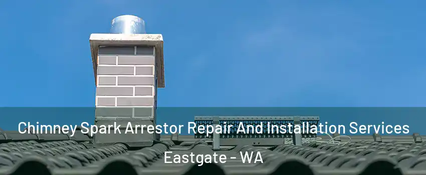 Chimney Spark Arrestor Repair And Installation Services Eastgate - WA