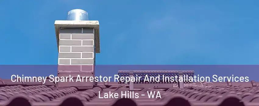 Chimney Spark Arrestor Repair And Installation Services Lake Hills - WA