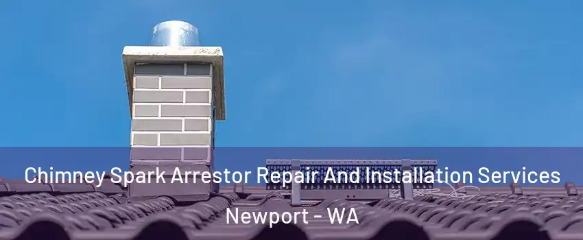 Chimney Spark Arrestor Repair And Installation Services Newport - WA