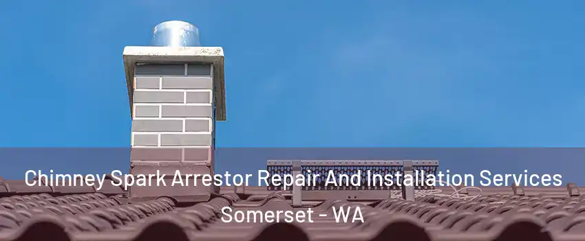 Chimney Spark Arrestor Repair And Installation Services Somerset - WA