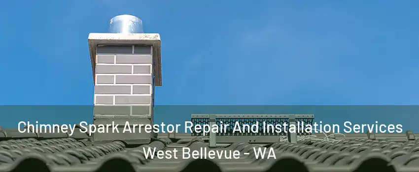 Chimney Spark Arrestor Repair And Installation Services West Bellevue - WA