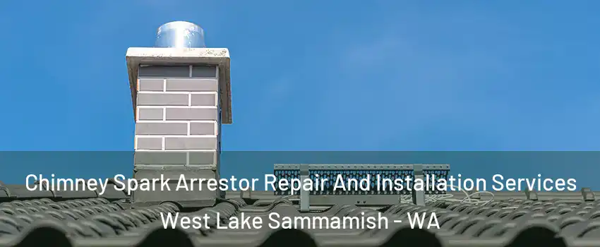 Chimney Spark Arrestor Repair And Installation Services West Lake Sammamish - WA