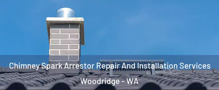 Chimney Spark Arrestor Repair And Installation Services Woodridge - WA