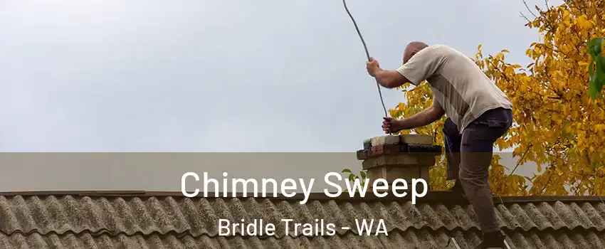 Chimney Sweep Bridle Trails - WA