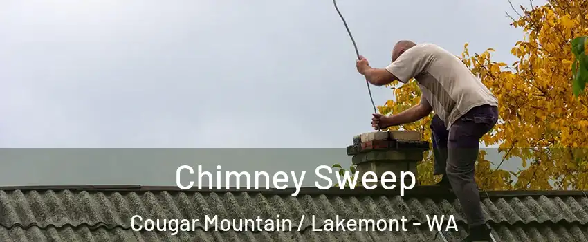 Chimney Sweep Cougar Mountain / Lakemont - WA