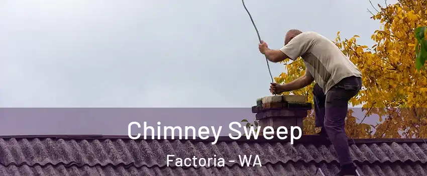 Chimney Sweep Factoria - WA