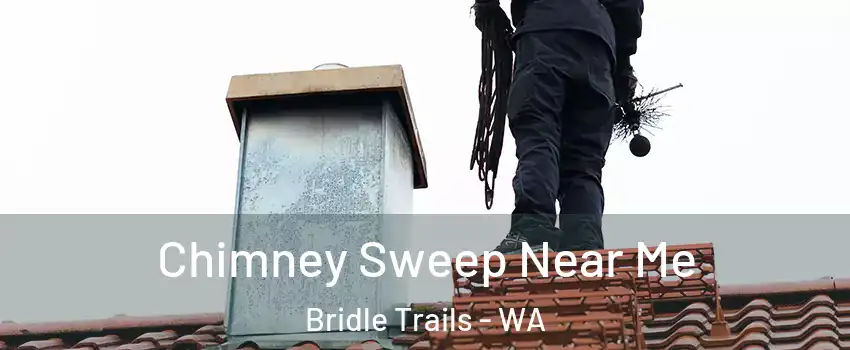 Chimney Sweep Near Me Bridle Trails - WA