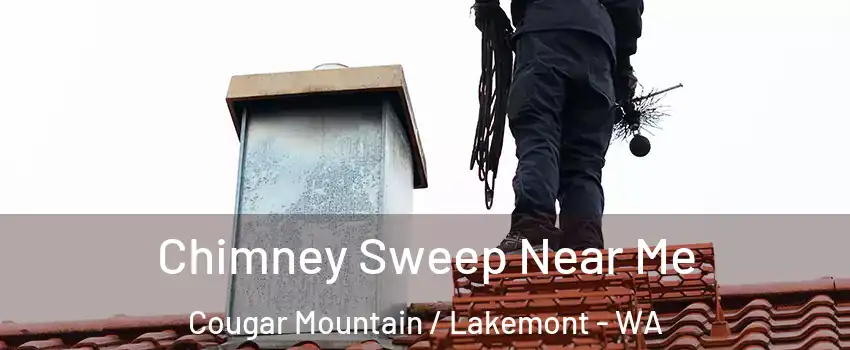 Chimney Sweep Near Me Cougar Mountain / Lakemont - WA