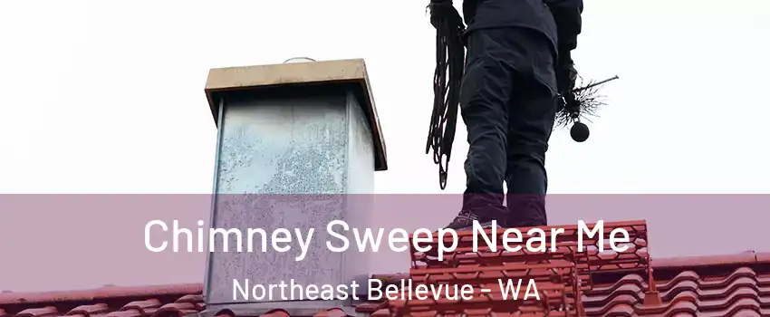 Chimney Sweep Near Me Northeast Bellevue - WA