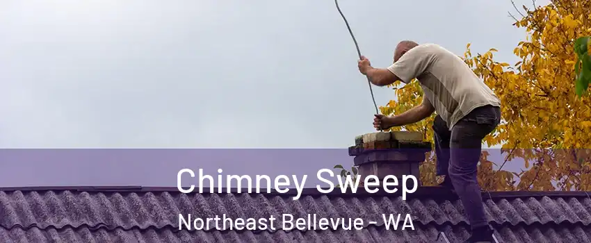 Chimney Sweep Northeast Bellevue - WA