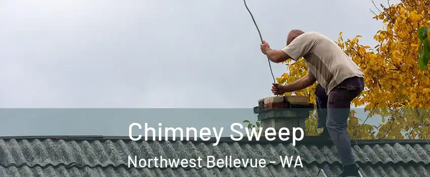 Chimney Sweep Northwest Bellevue - WA