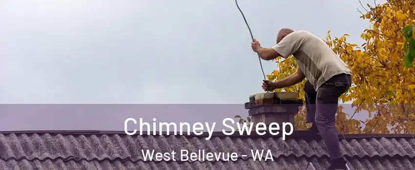 Chimney Sweep West Bellevue - WA