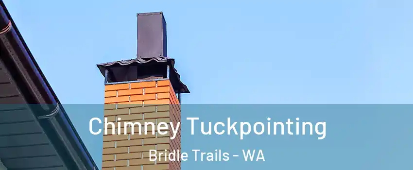 Chimney Tuckpointing Bridle Trails - WA