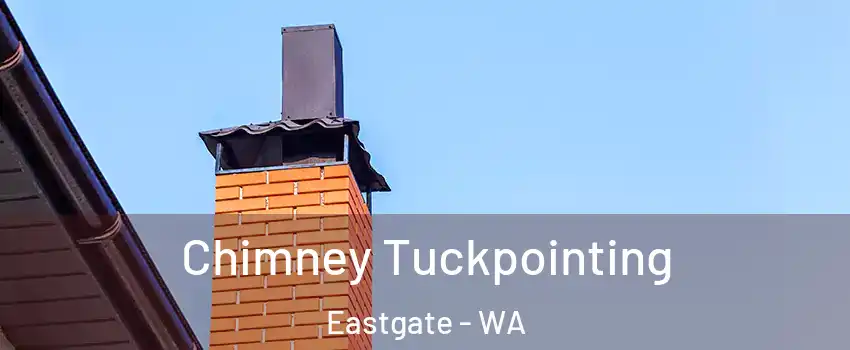 Chimney Tuckpointing Eastgate - WA