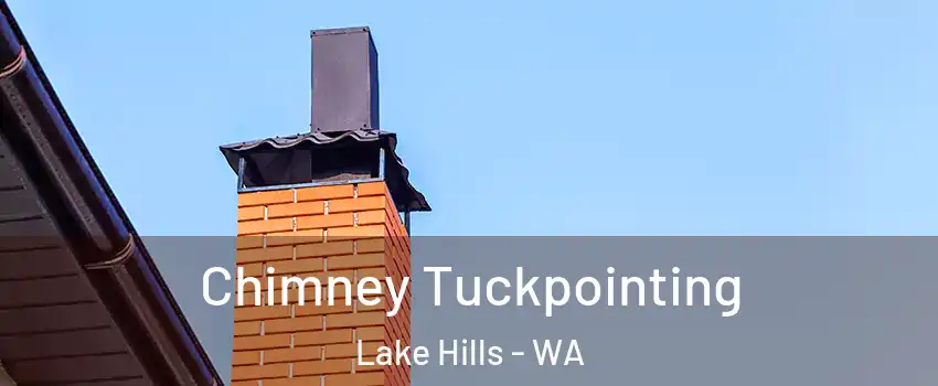 Chimney Tuckpointing Lake Hills - WA