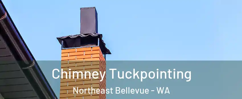 Chimney Tuckpointing Northeast Bellevue - WA