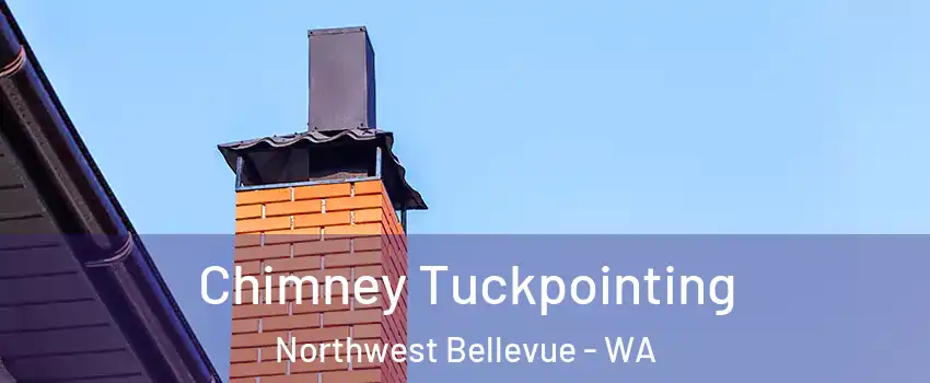 Chimney Tuckpointing Northwest Bellevue - WA