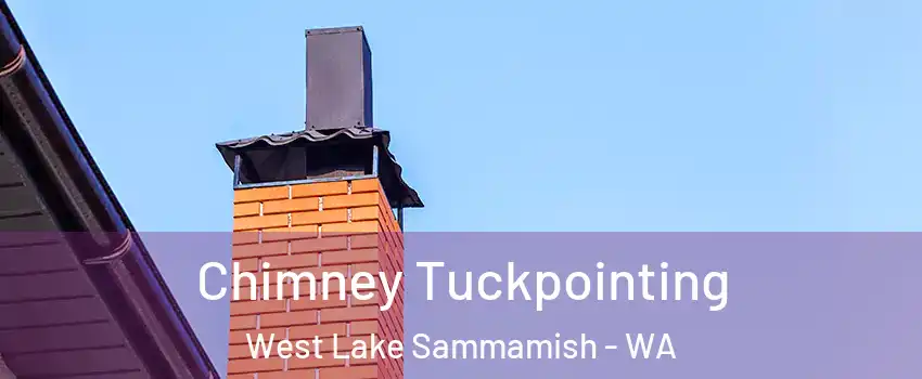 Chimney Tuckpointing West Lake Sammamish - WA