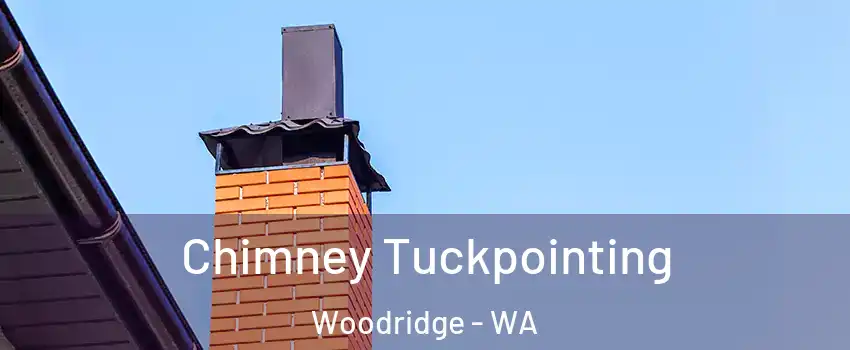 Chimney Tuckpointing Woodridge - WA