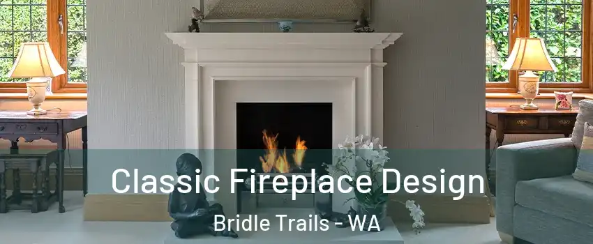 Classic Fireplace Design Bridle Trails - WA