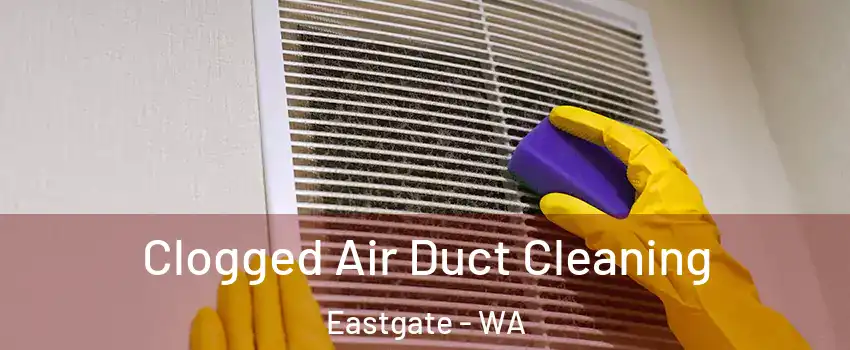 Clogged Air Duct Cleaning Eastgate - WA