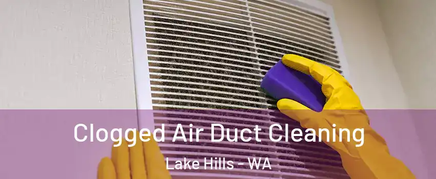 Clogged Air Duct Cleaning Lake Hills - WA