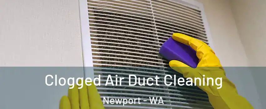 Clogged Air Duct Cleaning Newport - WA