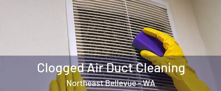 Clogged Air Duct Cleaning Northeast Bellevue - WA