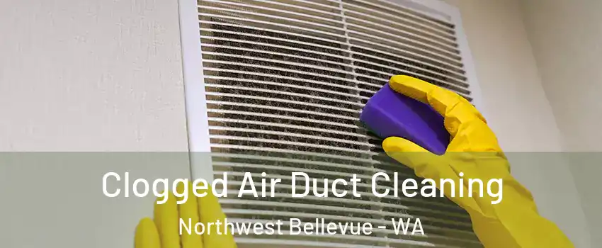 Clogged Air Duct Cleaning Northwest Bellevue - WA