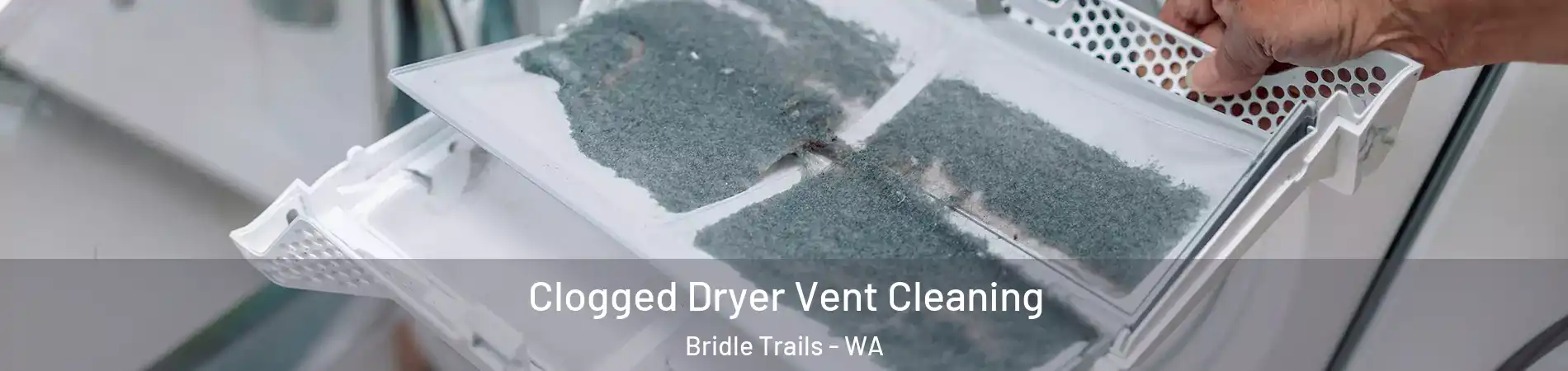 Clogged Dryer Vent Cleaning Bridle Trails - WA