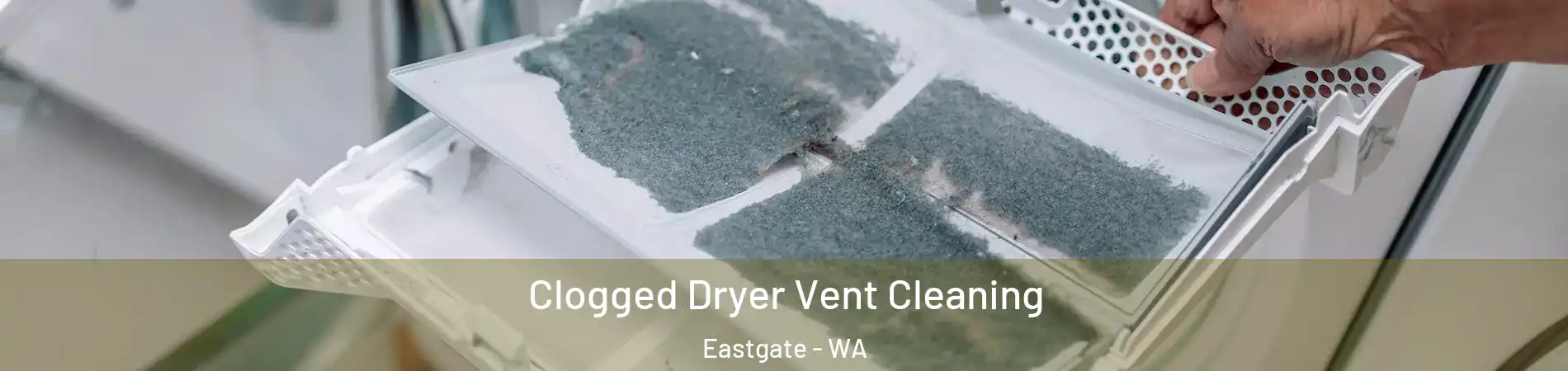 Clogged Dryer Vent Cleaning Eastgate - WA