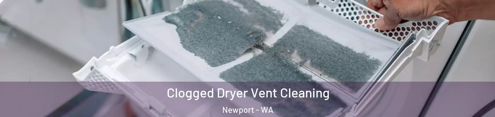 Clogged Dryer Vent Cleaning Newport - WA