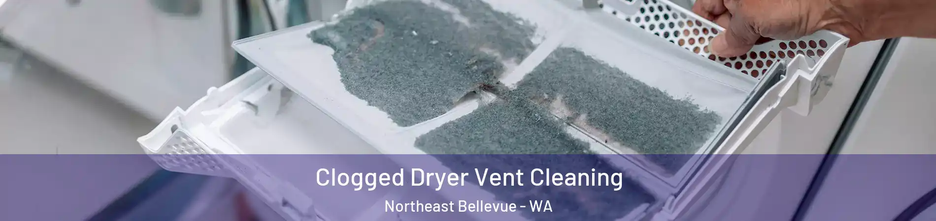 Clogged Dryer Vent Cleaning Northeast Bellevue - WA