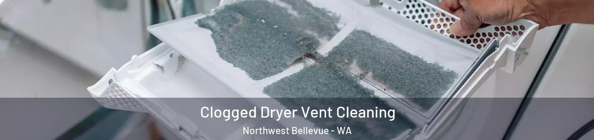 Clogged Dryer Vent Cleaning Northwest Bellevue - WA