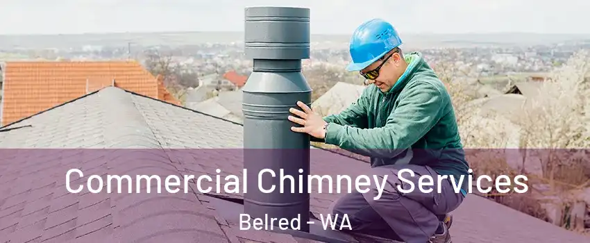 Commercial Chimney Services Belred - WA