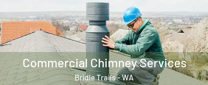 Commercial Chimney Services Bridle Trails - WA