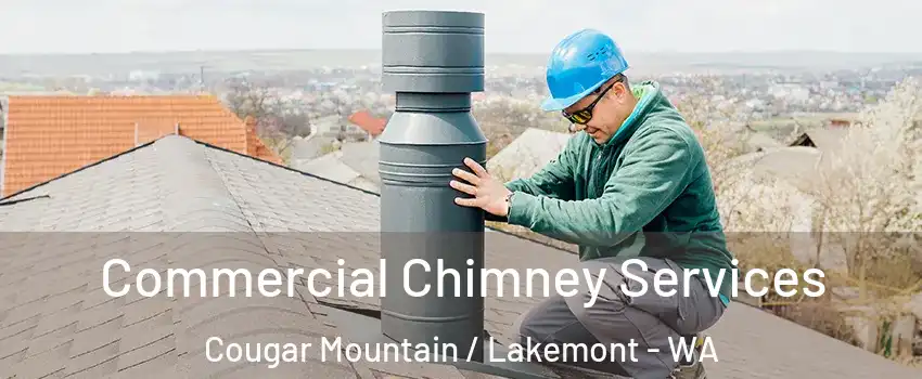 Commercial Chimney Services Cougar Mountain / Lakemont - WA