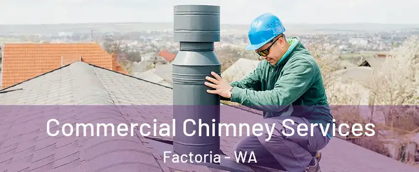 Commercial Chimney Services Factoria - WA